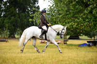 46 RC PC Horse Pony