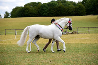 12C Breeding Champs