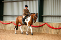 23 Home Produced Ridden Non Native