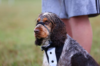 Junior Handler
