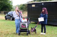 Reserve & Champion