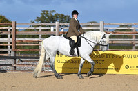 Class 1 - Novice Walk & Trot