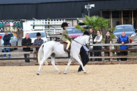 Class 10 - Ridden Veteran