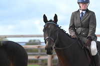 Class 11 - Senior Rider