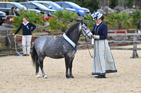 Class 12 - Concours D'Elegance