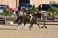 Class 14 - Ridden Open Pony