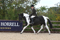 Class 5 - Ridden Hunter