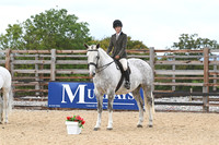 Class 9 - Ridden Bay Grey Chestnut Black