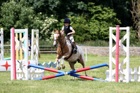 Novice Show Jumping 30cm to 60cm