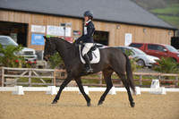 Area Dressage Quals CCR Equestrian 09.11.2025
