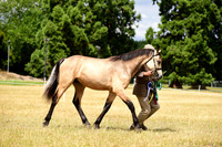 21 TOS Yearlings