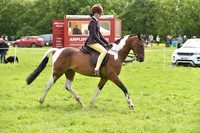 52 Ridden Piebald Skewbald