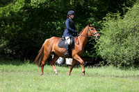 46 Family Horse or Pony