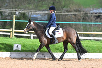 3 Hawkhill Mollie