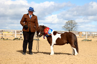 FFRC Showing Show CCR Equestrian 05.04.2026