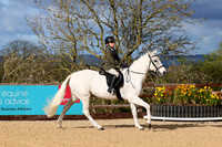 Class 8 Hunter Ridden
