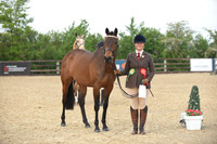 Class 3 - Open Riding Horse/Hack