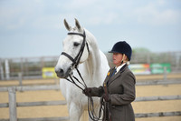 Class 5 - Veteran Horse or Pony