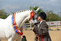 Classes 1-55 In Hand Championship