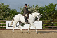 Class 6 Veteran Ridden