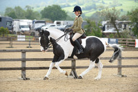 Class 8 - Open Coloured Ridden