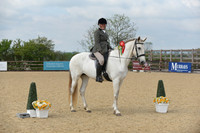 Class 9 - Open Riding Horse /Hack
