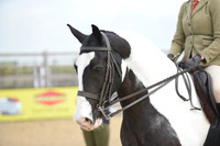 Class 10 - Open Cob