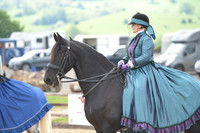 Class 11 - 13 In Hand/ Ridden and Homemade Concours D'Elegance