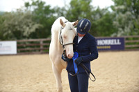 Class 14 - Prettiest Mare
