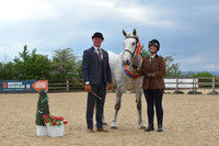 Classes 18-28 Inhand Champsionship