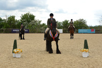 Classes 23-27 Ridden Chamionship
