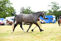 Class 8 - Young handler