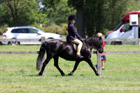 15-16 M&M Ridden AOTY + Champs