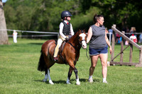 20-21 Working Hunter Poles & 30cm