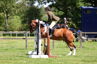 22-23 Working Hunter 50cm & 60cm