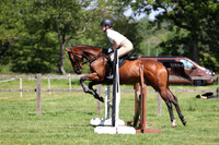 24-25 Working Hunter 70cm & 80cm