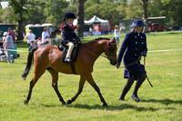 41-43 TSR Plaited Ridden