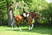 44-45 Ridden Cob & Ridden Hunter