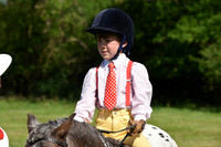 54-55 Novice & Lead Rein