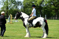 58 Family Horse or Pony