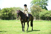 62 Equifest Retrained Racehorse
