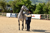 Class 2 - In Hand Hunter