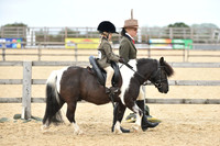 12 Lead Rein Pony
