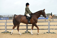 2 TSR AOTY Ridden Veteran