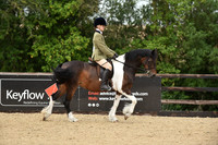 4 TSR AOTY Ridden Coloured