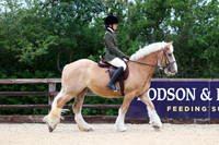 8 Open Ridden Novice