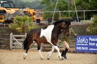 Class 19 Young Handler