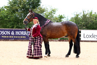 Class 20 In Hand Concours