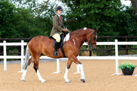 Class 1 - Pre Novice Ridden