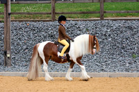 Class 101 - HOYS Junior